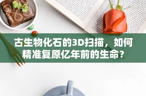 古生物化石的3D扫描，如何精准复原亿年前的生命？