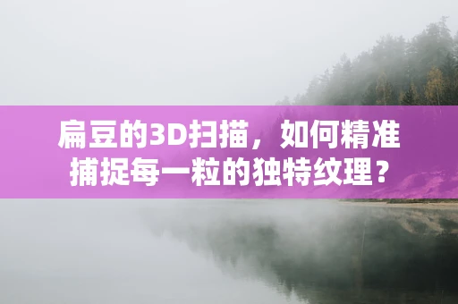 扁豆的3D扫描，如何精准捕捉每一粒的独特纹理？