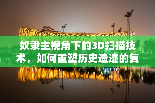 奴隶主视角下的3D扫描技术，如何重塑历史遗迹的复原与再现？