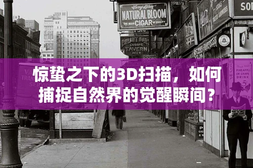 惊蛰之下的3D扫描，如何捕捉自然界的觉醒瞬间？