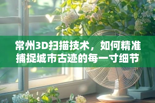 常州3D扫描技术，如何精准捕捉城市古迹的每一寸细节？