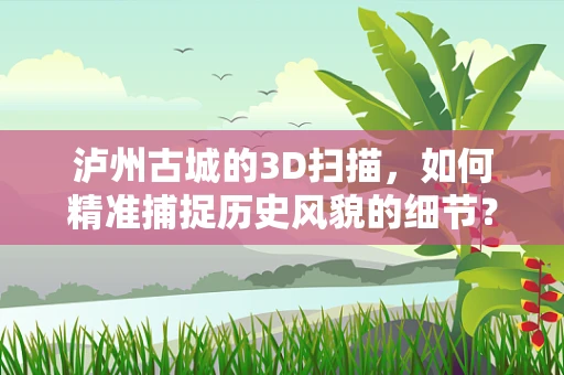 泸州古城的3D扫描，如何精准捕捉历史风貌的细节？