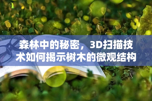 森林中的秘密，3D扫描技术如何揭示树木的微观结构？