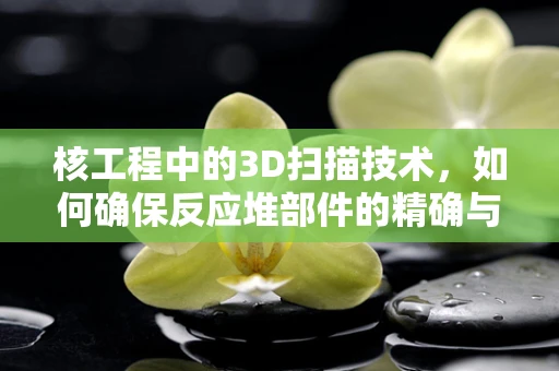 核工程中的3D扫描技术，如何确保反应堆部件的精确与安全？