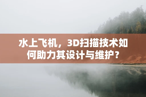 水上飞机，3D扫描技术如何助力其设计与维护？