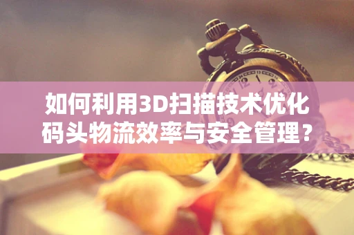 如何利用3D扫描技术优化码头物流效率与安全管理？