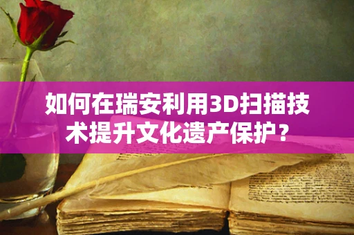 如何在瑞安利用3D扫描技术提升文化遗产保护？