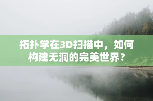 拓扑学在3D扫描中，如何构建无洞的完美世界？