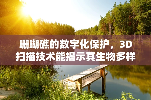 珊瑚礁的数字化保护，3D扫描技术能揭示其生物多样性的秘密吗？
