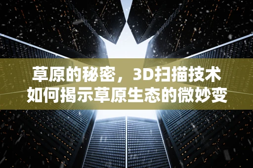 草原的秘密，3D扫描技术如何揭示草原生态的微妙变化？