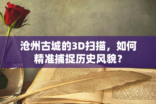 沧州古城的3D扫描，如何精准捕捉历史风貌？