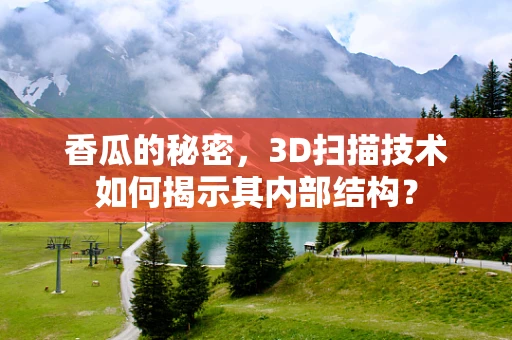 香瓜的秘密，3D扫描技术如何揭示其内部结构？
