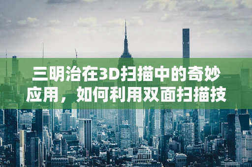 三明治在3D扫描中的奇妙应用，如何利用双面扫描技术提升精度？