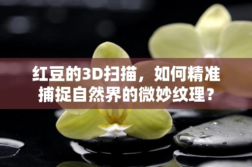 红豆的3D扫描，如何精准捕捉自然界的微妙纹理？