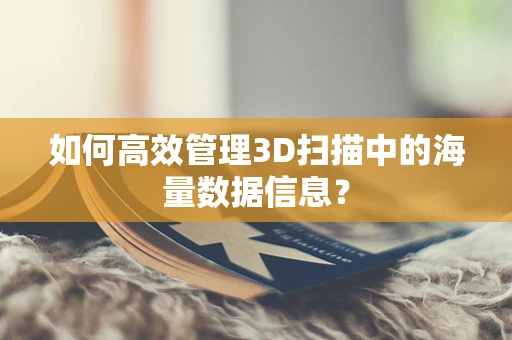 如何高效管理3D扫描中的海量数据信息？