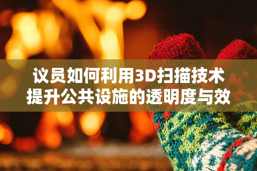 议员如何利用3D扫描技术提升公共设施的透明度与效率？