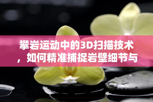 攀岩运动中的3D扫描技术，如何精准捕捉岩壁细节与运动员姿态？