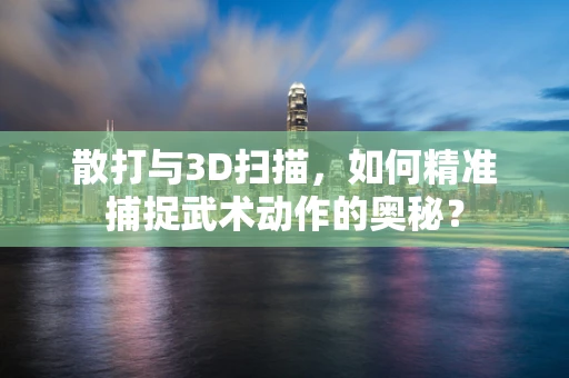 散打与3D扫描，如何精准捕捉武术动作的奥秘？