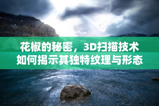 花椒的秘密，3D扫描技术如何揭示其独特纹理与形态？