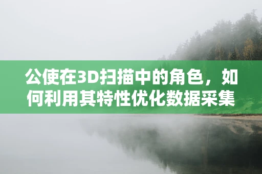 公使在3D扫描中的角色，如何利用其特性优化数据采集？