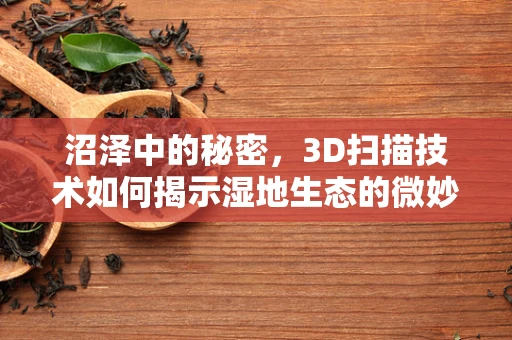 沼泽中的秘密，3D扫描技术如何揭示湿地生态的微妙细节？