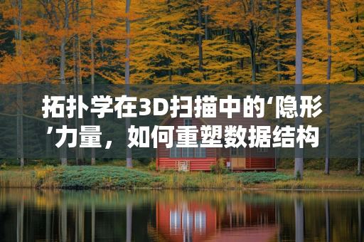 拓扑学在3D扫描中的‘隐形’力量，如何重塑数据结构以优化处理？