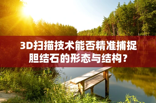 3D扫描技术能否精准捕捉胆结石的形态与结构？