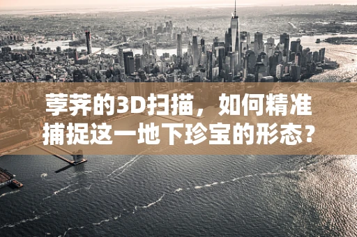 荸荠的3D扫描，如何精准捕捉这一地下珍宝的形态？