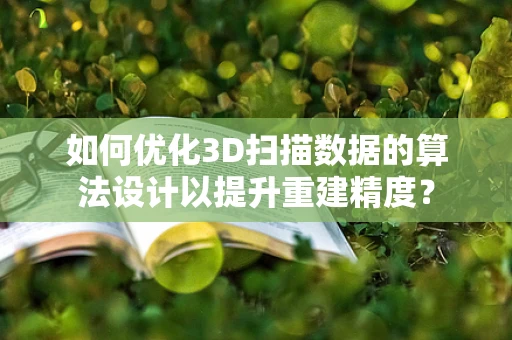 如何优化3D扫描数据的算法设计以提升重建精度？