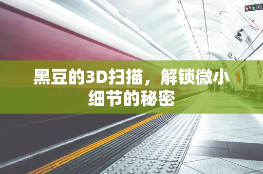 黑豆的3D扫描，解锁微小细节的秘密