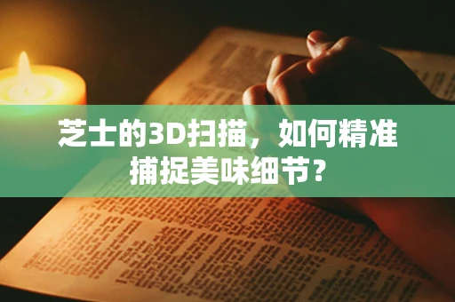 芝士的3D扫描，如何精准捕捉美味细节？