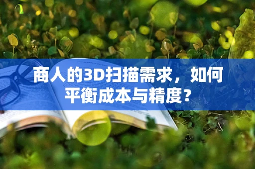 商人的3D扫描需求，如何平衡成本与精度？