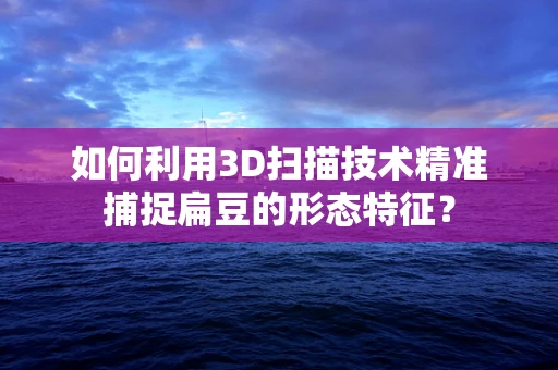 如何利用3D扫描技术精准捕捉扁豆的形态特征？