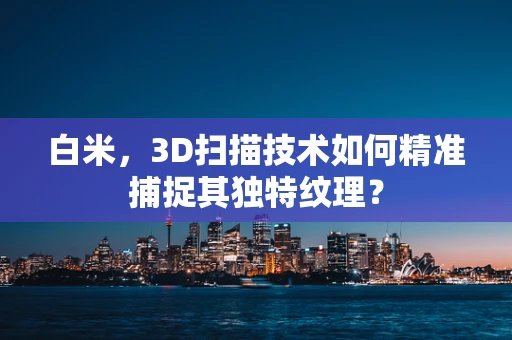 白米，3D扫描技术如何精准捕捉其独特纹理？
