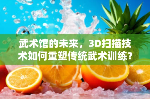 武术馆的未来，3D扫描技术如何重塑传统武术训练？