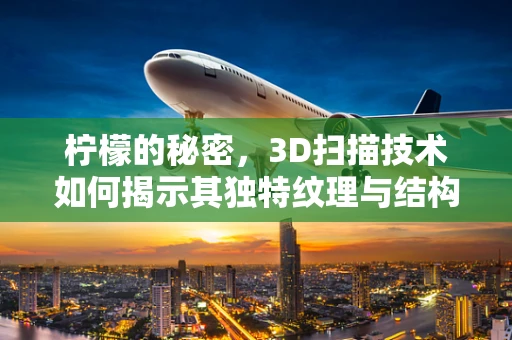 柠檬的秘密，3D扫描技术如何揭示其独特纹理与结构？