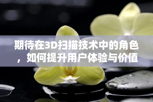 期待在3D扫描技术中的角色，如何提升用户体验与价值？
