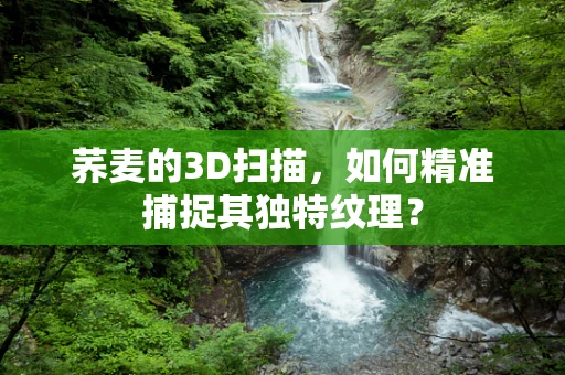 荞麦的3D扫描，如何精准捕捉其独特纹理？