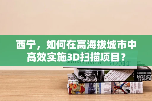西宁，如何在高海拔城市中高效实施3D扫描项目？