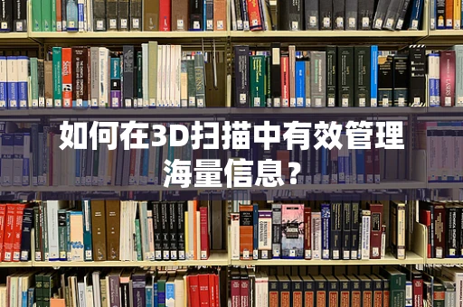 如何在3D扫描中有效管理海量信息？