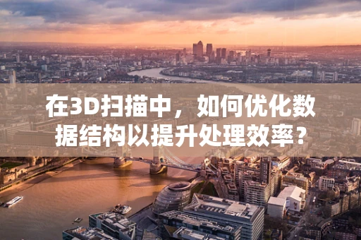 在3D扫描中，如何优化数据结构以提升处理效率？