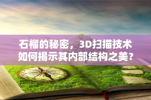 石榴的秘密，3D扫描技术如何揭示其内部结构之美？