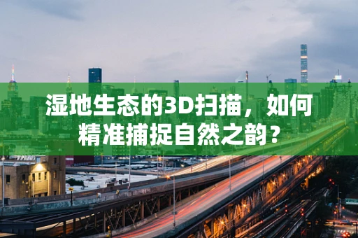 湿地生态的3D扫描，如何精准捕捉自然之韵？