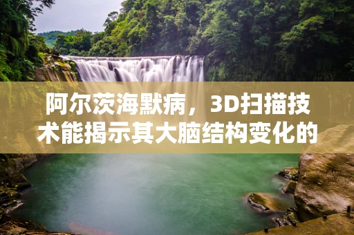 阿尔茨海默病，3D扫描技术能揭示其大脑结构变化的前兆吗？
