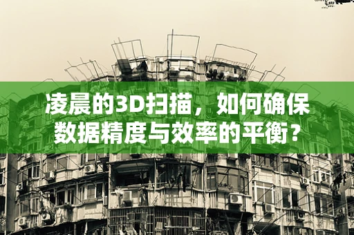 凌晨的3D扫描，如何确保数据精度与效率的平衡？