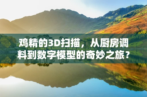 鸡精的3D扫描，从厨房调料到数字模型的奇妙之旅？