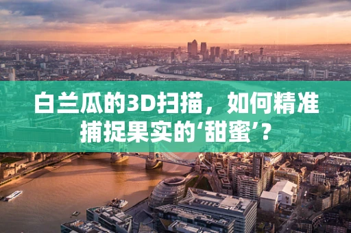 白兰瓜的3D扫描，如何精准捕捉果实的‘甜蜜’？
