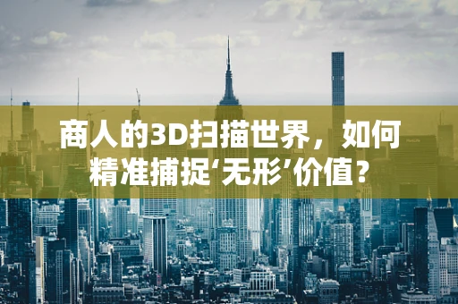 商人的3D扫描世界，如何精准捕捉‘无形’价值？