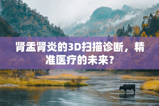 肾盂肾炎的3D扫描诊断，精准医疗的未来？