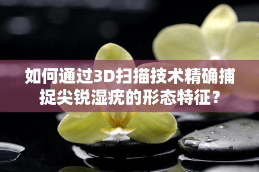 如何通过3D扫描技术精确捕捉尖锐湿疣的形态特征？